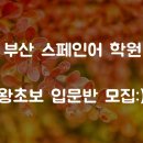 초보자를 위한 여행 스페인어 이미지