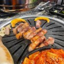 특수고기 이미지