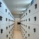 헬플렉스 이미지