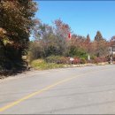 남면농업협동조합 이미지