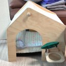 오아이펫강아지고양이 | 다이소 추천 템 펫 코너 고양이 냉감 쿠션 강아지 쿨매트 후기