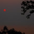 하모니카 연주 이미지