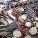 파주민물 이미지