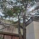 시온휴요양원 이미지