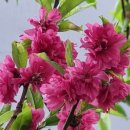 설천면116 이미지