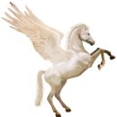 페가수스 이미지