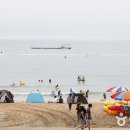 로뎀 농장 이미지