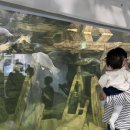 한울타리펜션민박 이미지