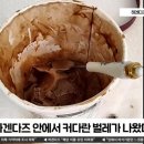 하겐다즈 아이스크림 먹다 벌레?..사측 "식약처 조사 의뢰” 국민의소리TV 이미지