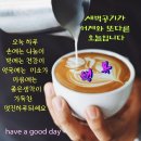 ❤️ 꼭 만나야 하는 10명의 사람들 ❤️ 이미지