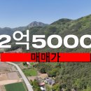 성심부동산중개인 이미지