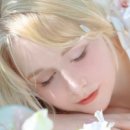 에코브라이트 이미지