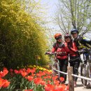 반월들길 이미지