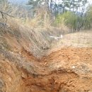 정돈화로 이미지