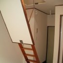 코스모스피아 이미지