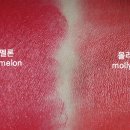와우에스티 이미지