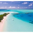 SY공인외국어번역행정사 이미지