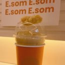 이솜(E SOM)