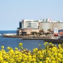 라마다프라자제주호텔 이미지