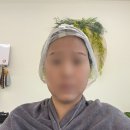 조아살롱 - 강동구 | 살롱조아 톤다운 염색후기