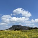 한동이젠 이미지