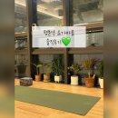 성장요가 | 함께 성장하는 요가 전문 스튜디오 [요가바름] 방문 후기