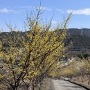 예곡마을회관 이미지