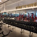 홍키통키 이미지