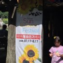 해바라기발전소 | 태백 해바라기 구와우마을 해바라기 축제 실시간 정보 강원도 여름 여행 태백 가볼만한곳 후기