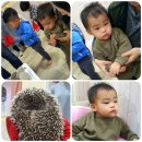 북두농장 이미지