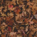 캘리그라피 창작반 이미지