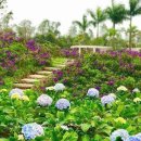 장미어린이공원 이미지