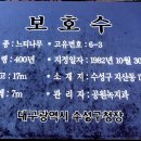 지산초등학교 정문 앞 이미지