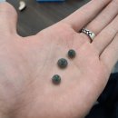 뉴톤보청기(도봉지사) 이미지