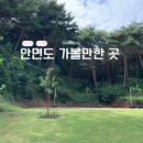 위드안면도 | [태안] 안면도 펜션 추천 '위드안면도' 내돈내산ㅣ망포해수욕장ㅣ꽃지해수욕장 근처 (수영장&amp;바베큐)