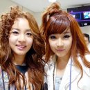 다라다 이미지