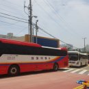 삼일여행협동조합 네이버블로그