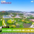 함평나비(광주) 이미지