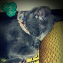 우쭈쭈 내새끼 이미지