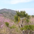 광산사 티스토리