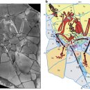 화석 2002 이미지