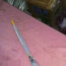 로키 스위밍 클럽 이미지