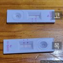 목양 약국 | 코로나19 오미크론 확진 후기(코는 음성 목은 양성)