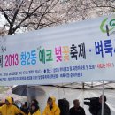 도봉구 우이천 에코 벚꽃축제 이미지