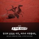 고구려37 | [ 서울 한강 고구려 마라톤🐴✨ ] 10km 참여후기 #마라톤 #마라톤대회 #마라톤대회추천 #런닝
