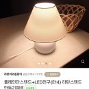 등 공예(라탄교실) 이미지