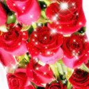 샬롬건축사 이미지