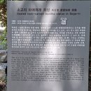 햇빛을 이길 수 있는 조명은 없다. 답사 1일차, 이천.. 이미지