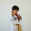 미래의리더효태권도 이미지