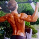 라인 헬스 이미지